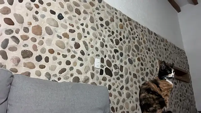 David Brown18 online show from 10.01.25