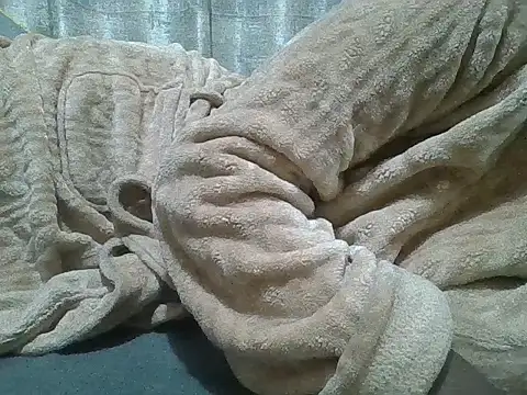 Fine assie online show from 04.10.26