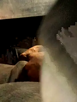 xWhoreAbleX Pika online show from 03.06.25