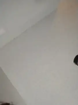 xWhoreAbleX Pika online show from 11.30.25