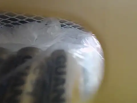 Snapshot of lovense_test04 chatting on 10.16.25 lovense test04 online show from 10.16.25