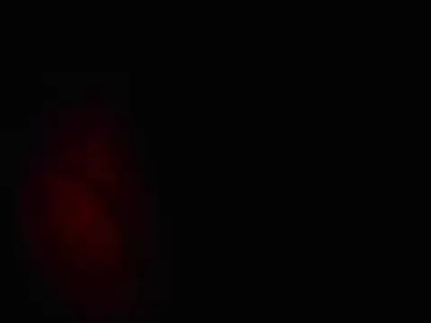 Snapshot of L0cKyseven77 chatting on 02.01.25 L0cKyseven77 online show from 02.01.25