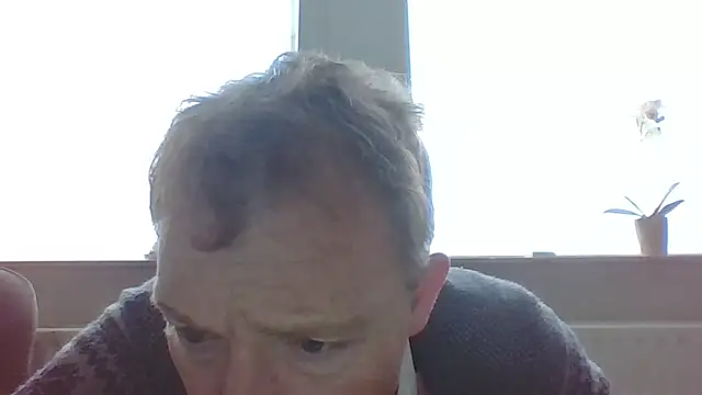 bertolini online show from 02.14.26