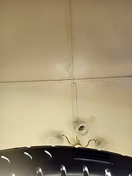 Snapshot of ___Midnight___ chatting on 03.15.26 Midnight online show from 03.15.26