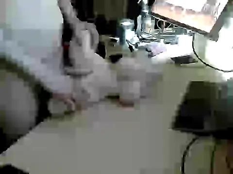 Snapshot of freaksofcock chatting on 03.14.26 freaksofcock online show from 03.14.26