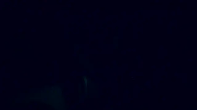 Lia Y PatrickX online show from 02.06.25