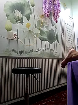 zizi public online show from 11.11.25