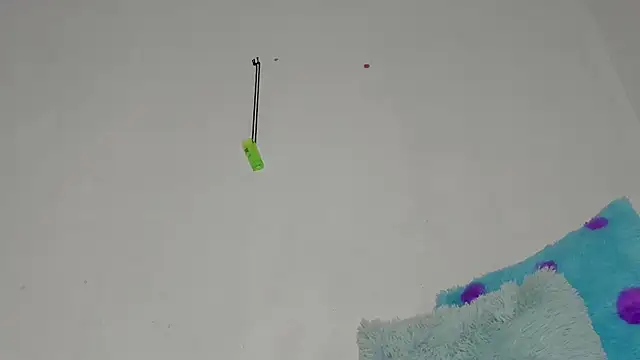 Snapshot of sebas_rose chatting on 12.11.24 sebas rose online show from 12.11.24