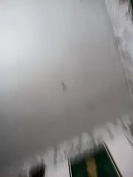 biancchi online show from 02.20.26