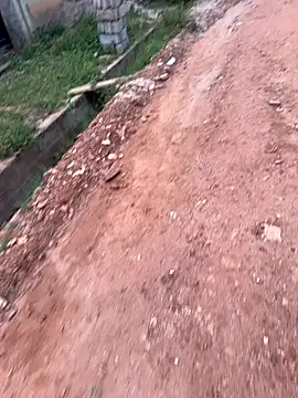 Black-mamba-madingo online show from 09.10.25