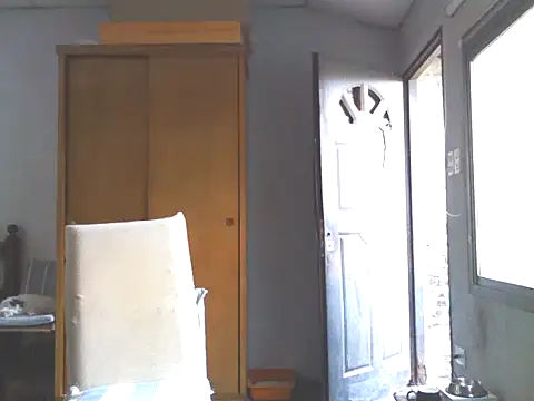 nicedick bro online show from 01.19.25