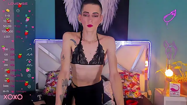 dominic thailor online show from 03.18.25