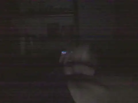 Hairycharisma online show from 07.29.26