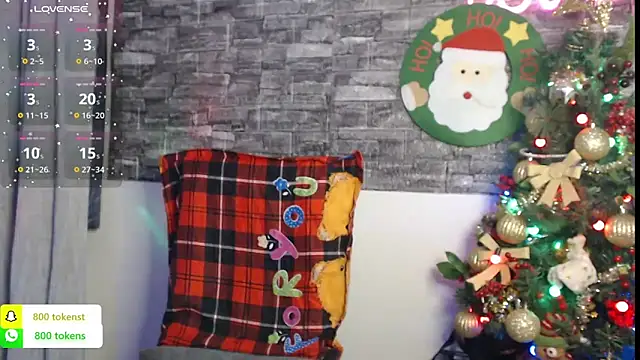 Snapshot of YourDreamLoverr chatting on 12.27.24 YourDreamLoverr online show from 12.27.24