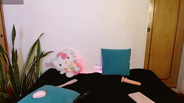 Snapshot of kittycatw chatting on 12.17.25 kittycatw online show from 12.17.25