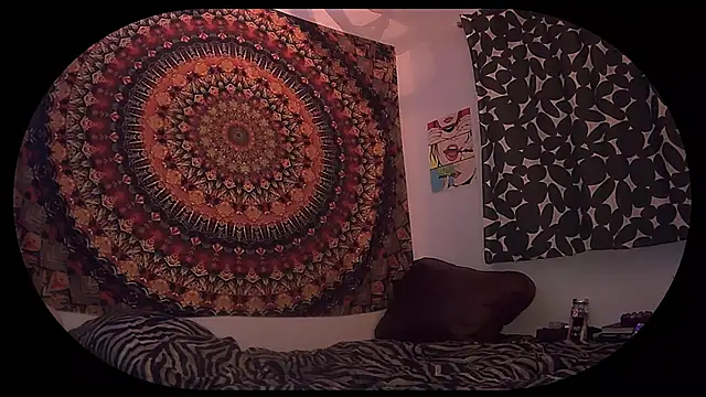 HeyyImHarlowe online show from 03.02.26