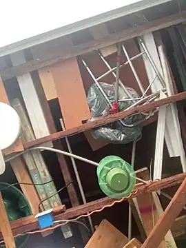 Miguel16i online show from 12.26.24