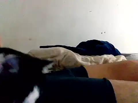 yass56789 online show from 11.15.25