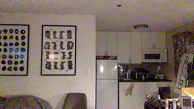 TheOnlyTwinTowers online show from 04.13.26