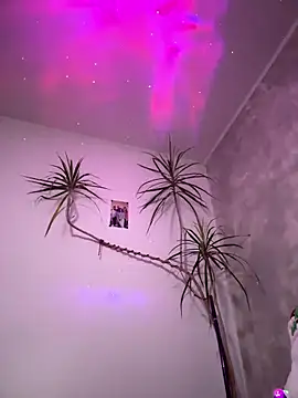 Snapshot of derek1494 chatting on 01.05.26 derek1494 online show from 01.05.26