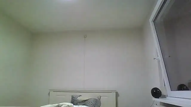 Wesleymodel online show from 02.10.26