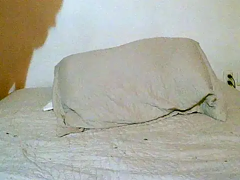 pollarikaaa online show from 12.14.25