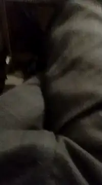 myhot1551 online show from 02.15.25