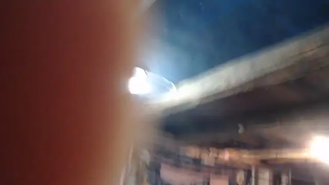 Newfiesausage1972 online show from 02.21.26