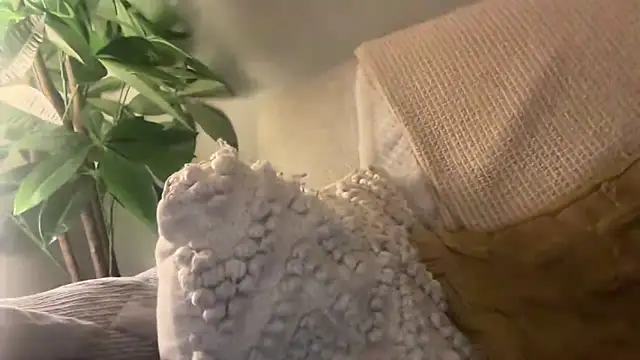 Snapshot of toptugger chatting on 10.17.25 toptugger online show from 10.17.25