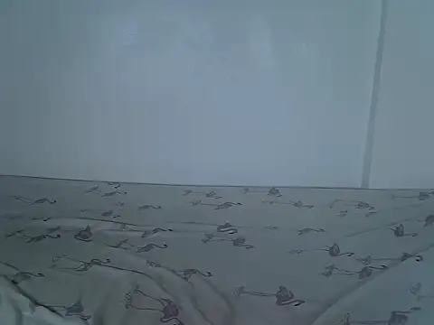 laetitia  online show from 11.11.25