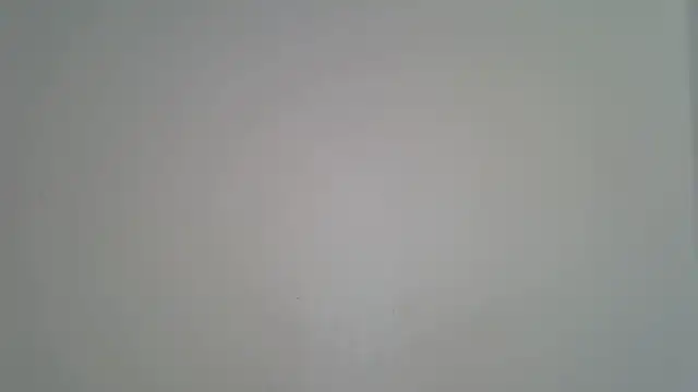 laetitia  online show from 04.20.26