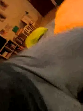 onbifeet online show from 10.09.25