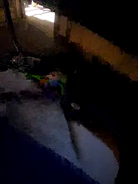 daddysmalldick502 online show from 11.04.25