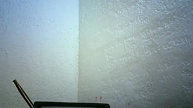 Snapshot of Bellabeltrann chatting on 11.30.25 Bellabeltrann online show from 11.30.25