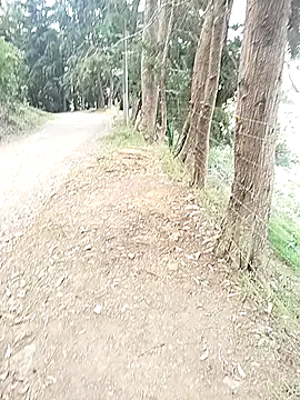 Demiansteven2 online show from 03.13.26