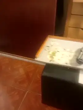 jmliimonsito online show from 04.03.26