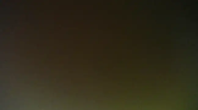 Snapshot of Lovensetest chatting on 01.16.25 Lovensetest online show from 01.16.25