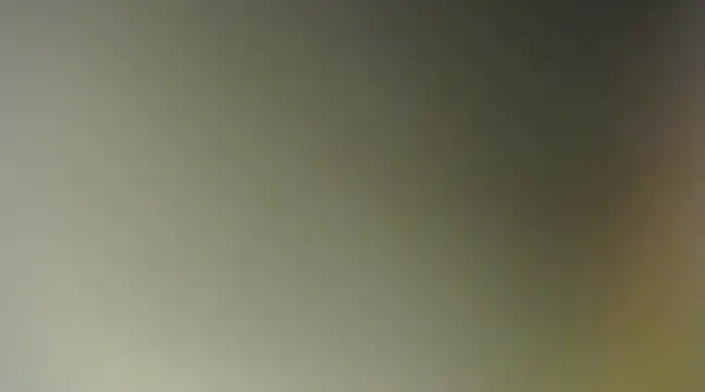 Snapshot of Lovensetest chatting on 03.11.25 Lovensetest online show from 03.11.25