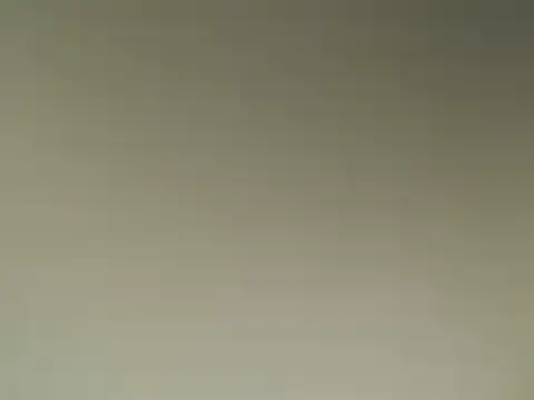 Snapshot of Lovensetest chatting on 03.13.25 Lovensetest online show from 03.13.25