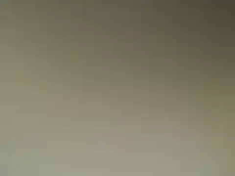 Snapshot of Lovensetest chatting on 03.13.25 Lovensetest online show from 03.13.25