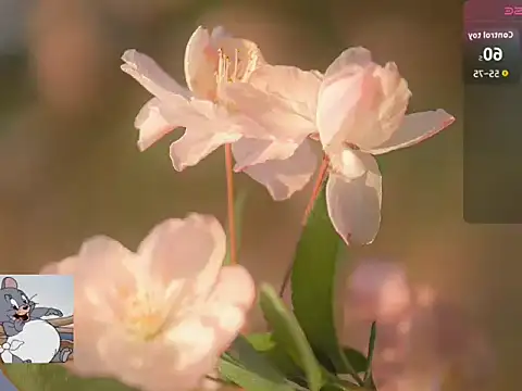 Snapshot of Lovensetest chatting on 10.22.25 Lovensetest online show from 10.22.25