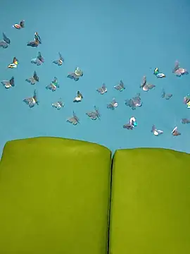 evelyn prince1 online show from 04.18.26