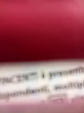 Snapshot of eva2023sexy chatting on 02.03.25 eva2023sexy online show from 02.03.25