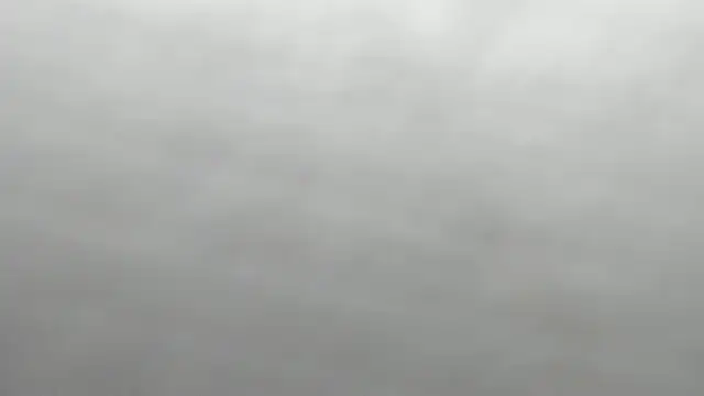 ailey chao online show from 03.21.26