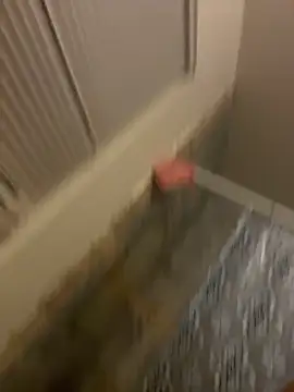 prettlovely14 online show from 02.20.26