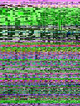 Rose berry online show from 03.16.26