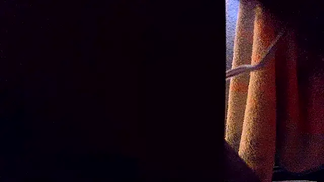 Nightlifecouple247 online show from 11.27.25