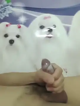 826687 online show from 03.02.26