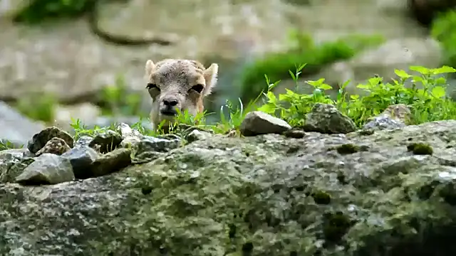 Snapshot of streamy_test11 chatting on 02.03.25 streamy test11 online show from 02.03.25