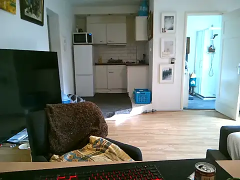 mihaimichael online show from 05.11.26